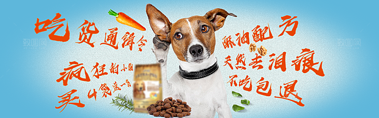 宠物用品电商海报淘宝网店banner