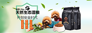 宠物用品电商海报淘宝网店banner