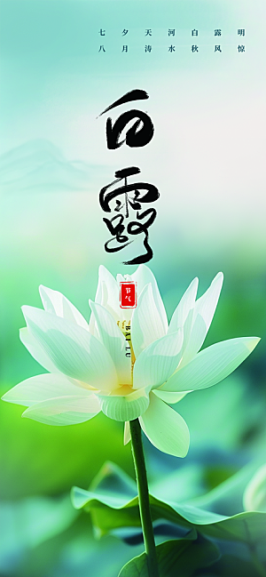 简约风传统白露二十四节气海报
