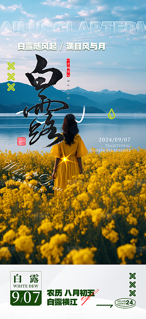 简约风传统白露二十四节气海报