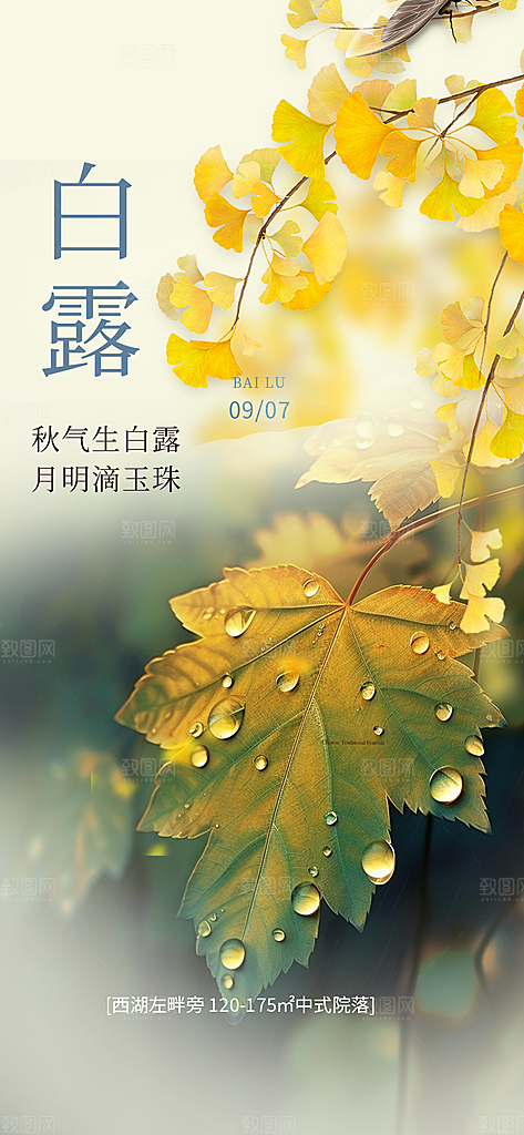 简约风传统白露二十四节气海报