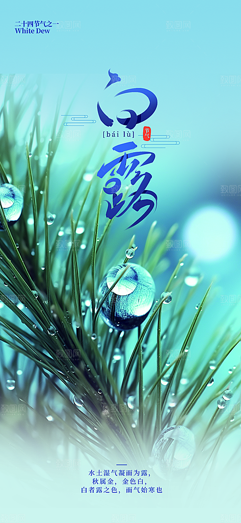 简约风传统白露二十四节气海报
