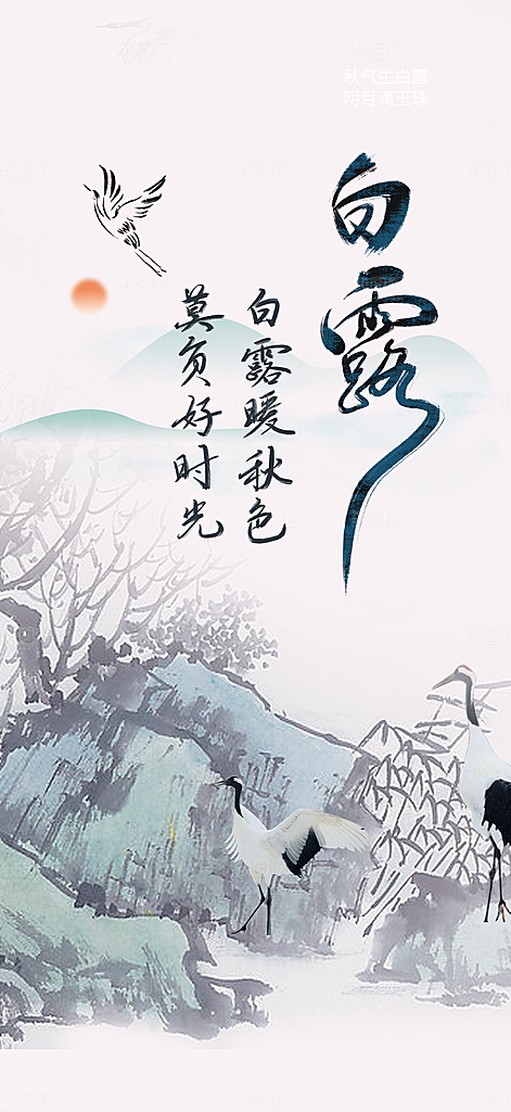 简约风传统白露二十四节气海报