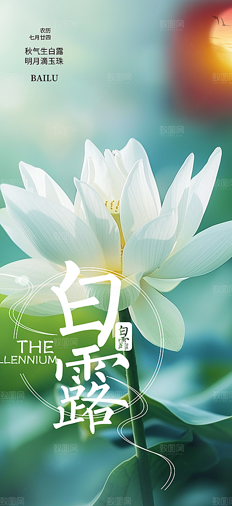 简约风传统白露二十四节气海报