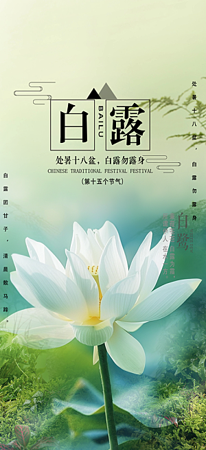 简约风传统白露二十四节气海报