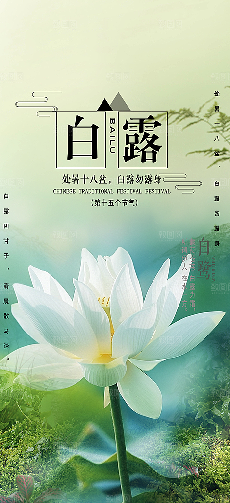 简约风传统白露二十四节气海报