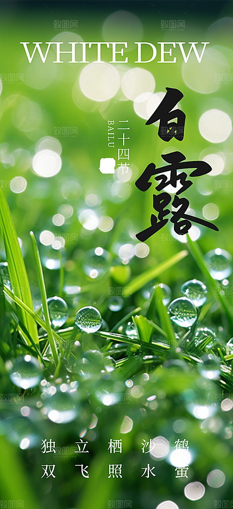 白露二十四节气海报