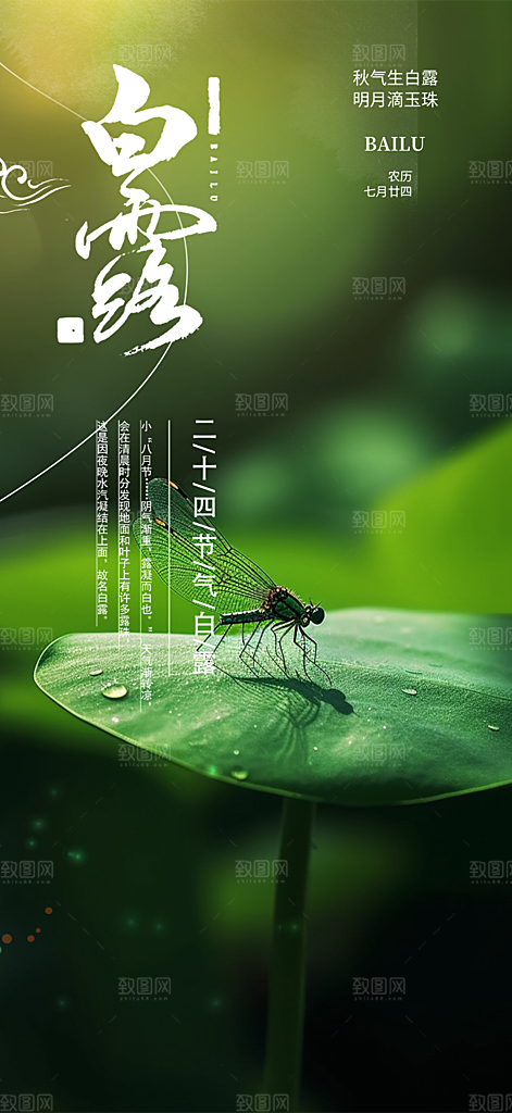 白露二十四节气海报