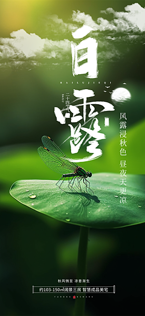 白露二十四节气海报