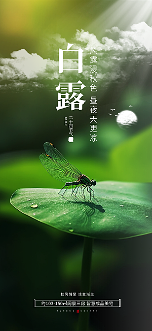 白露二十四节气海报