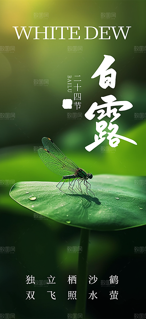 白露二十四节气海报