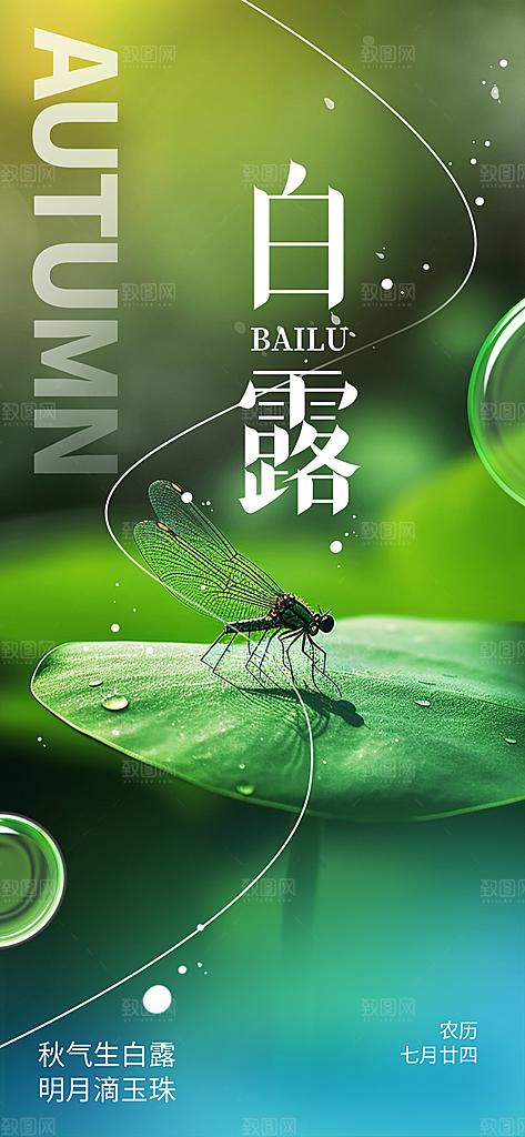 白露二十四节气海报