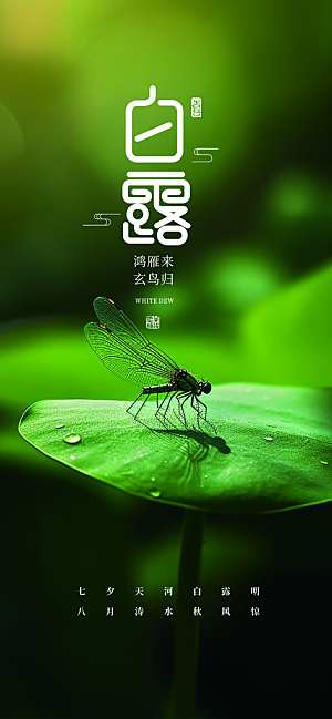 白露二十四节气海报