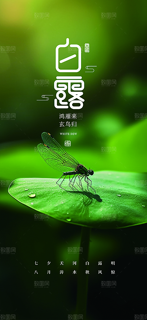 白露二十四节气海报