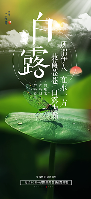 白露二十四节气海报