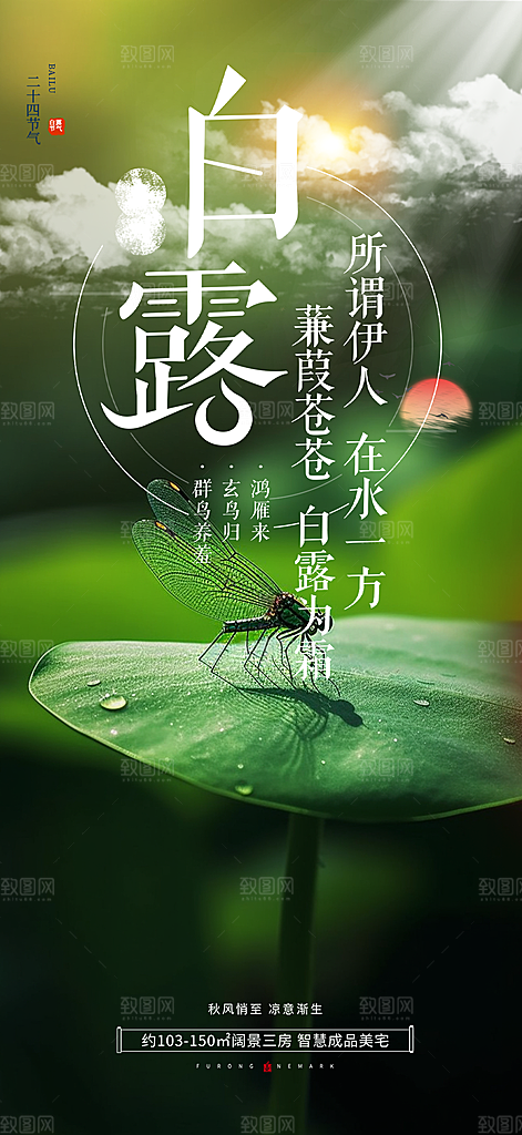 白露二十四节气海报