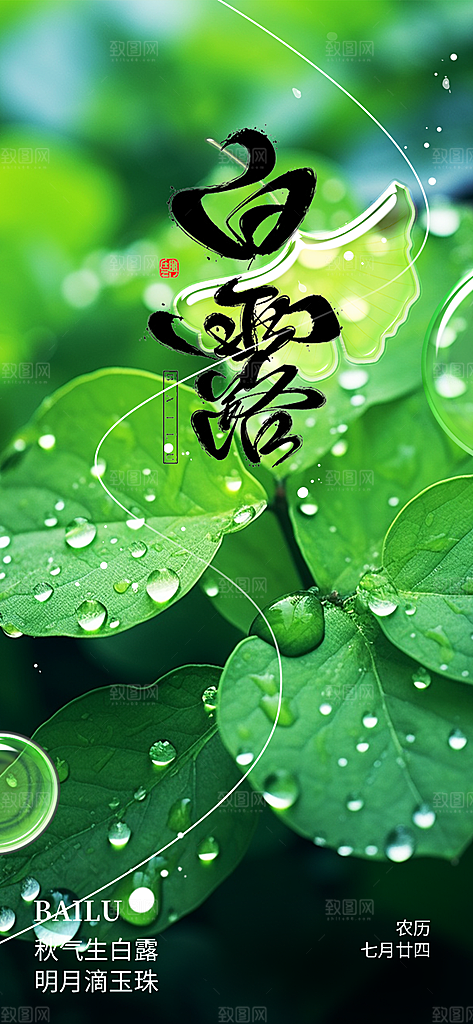 传统白露二十四节气海报