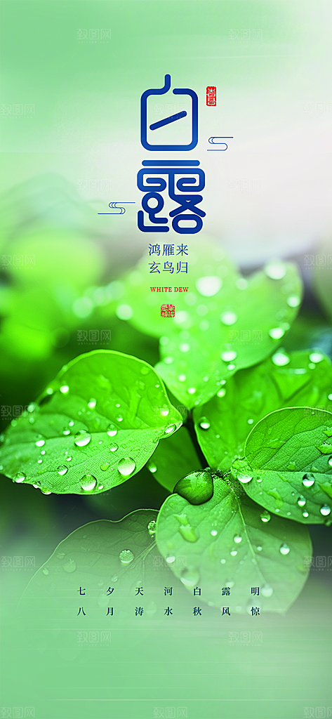 传统白露二十四节气海报
