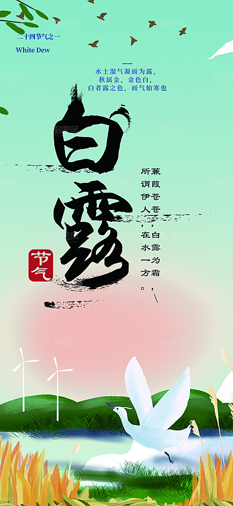 传统白露二十四节气海报
