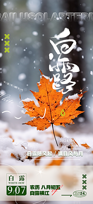 传统白露二十四节气海报