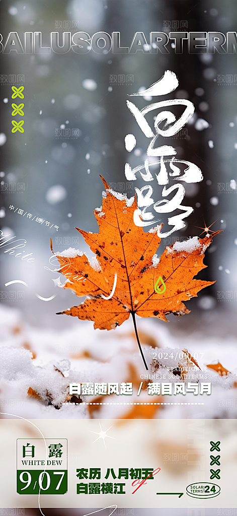 传统白露二十四节气海报