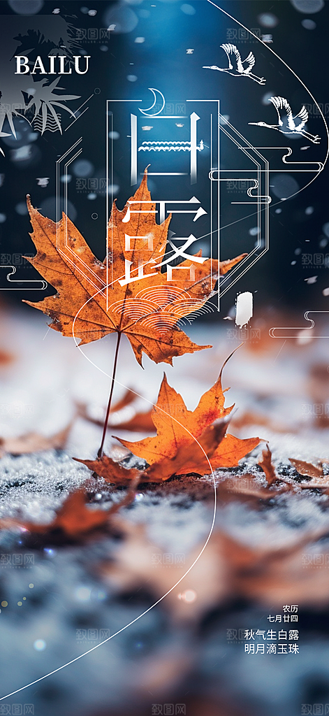 传统白露二十四节气海报