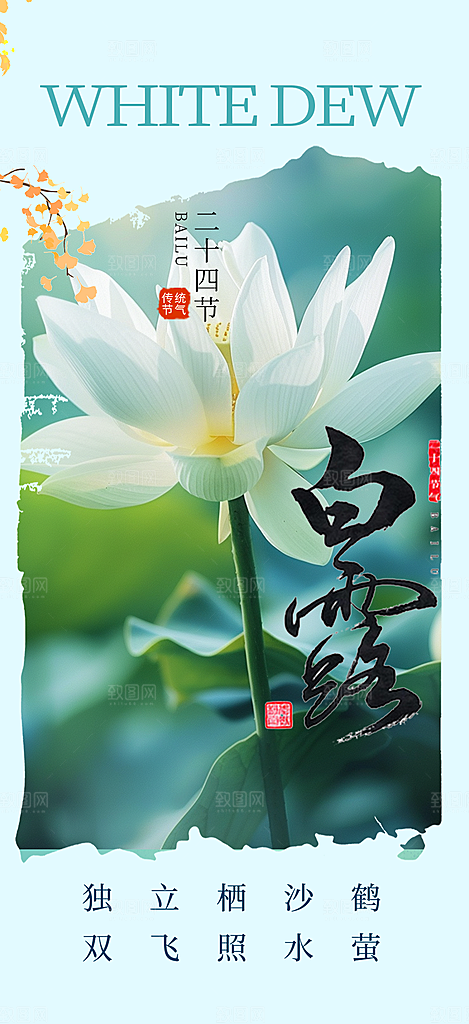 传统白露二十四节气海报