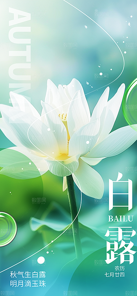 传统白露二十四节气海报