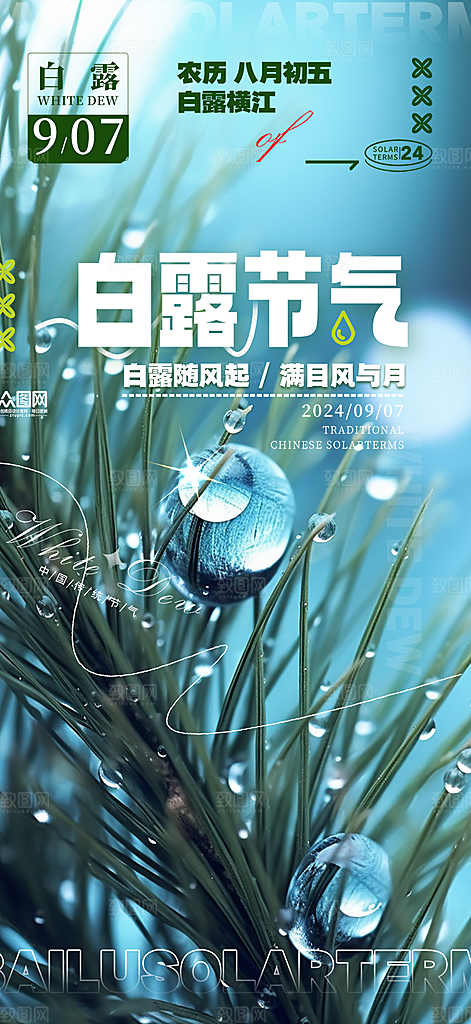 传统白露二十四节气海报