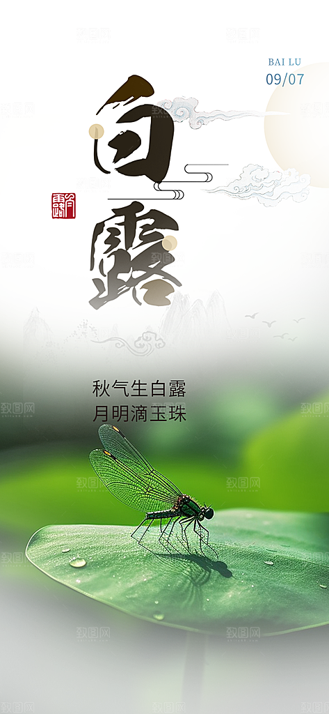 简约风传统白露二十四节气海报