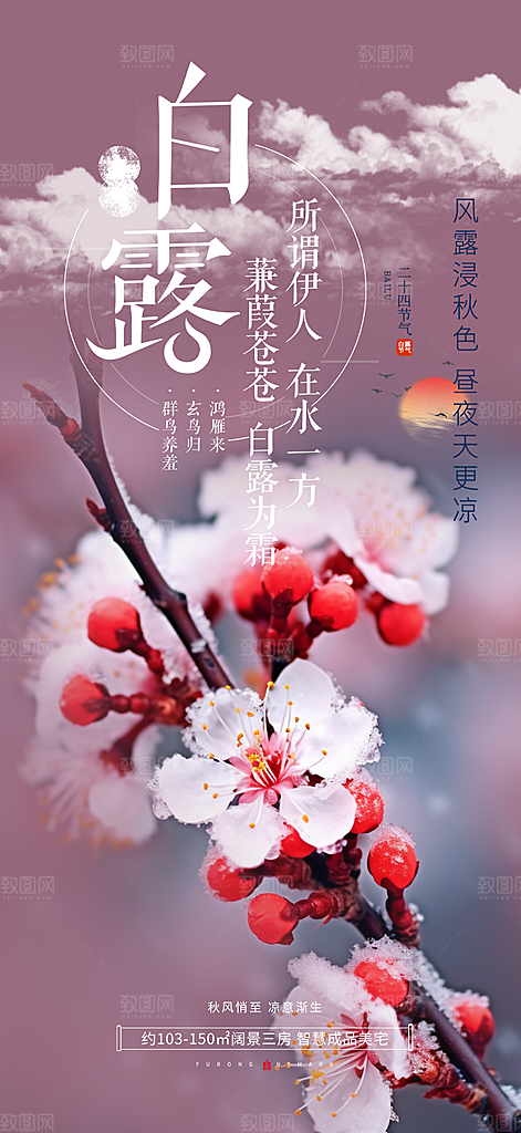 简约风传统白露二十四节气海报