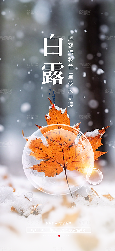 简约风传统白露二十四节气海报