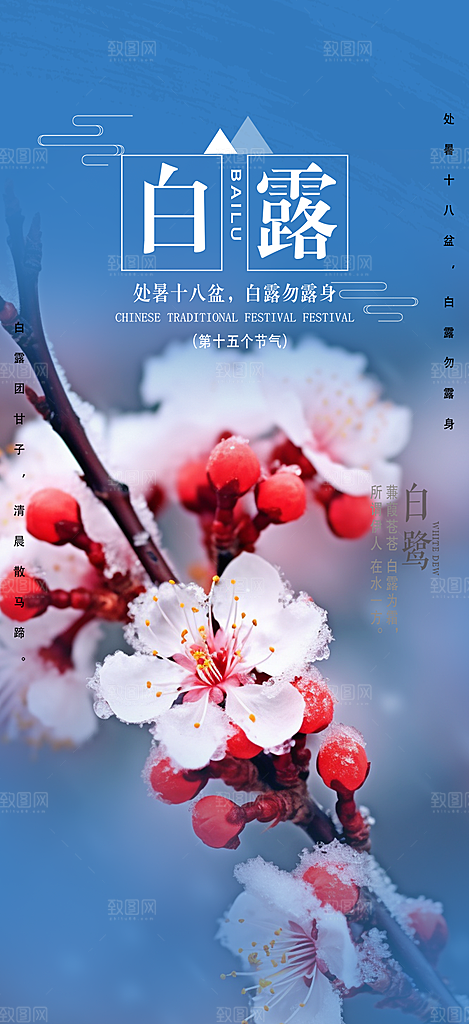 简约风传统白露二十四节气海报