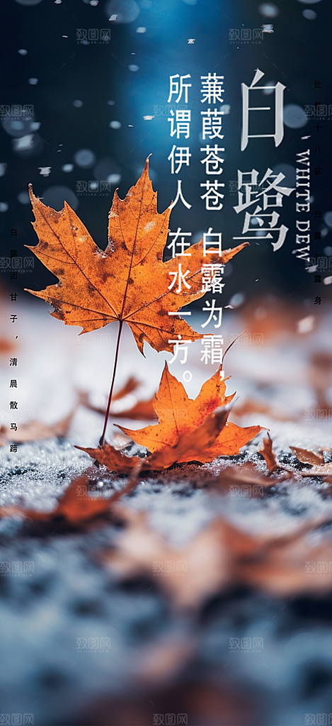 简约风传统白露二十四节气海报