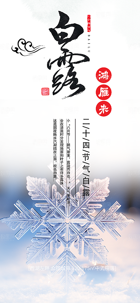 简约风传统白露二十四节气海报