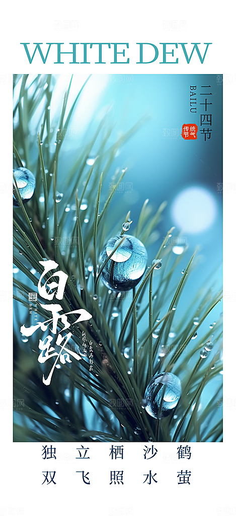 简约风传统白露二十四节气海报