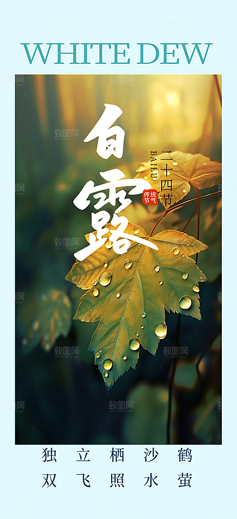 简约风传统白露二十四节气海报