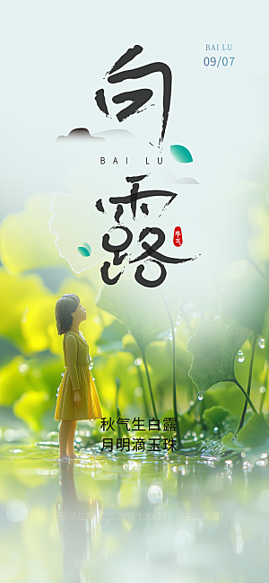 简约风传统白露二十四节气海报