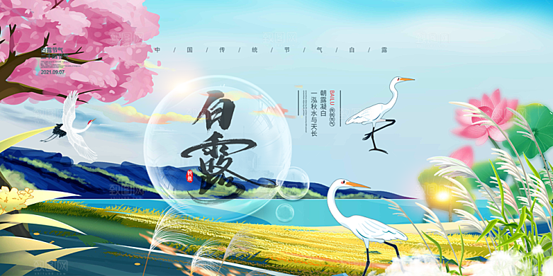 白露二十四节气展板