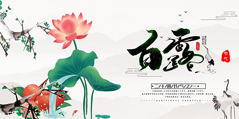 简约风传统白露二十四节气展板
