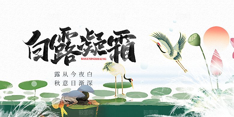 简约风传统白露二十四节气展板