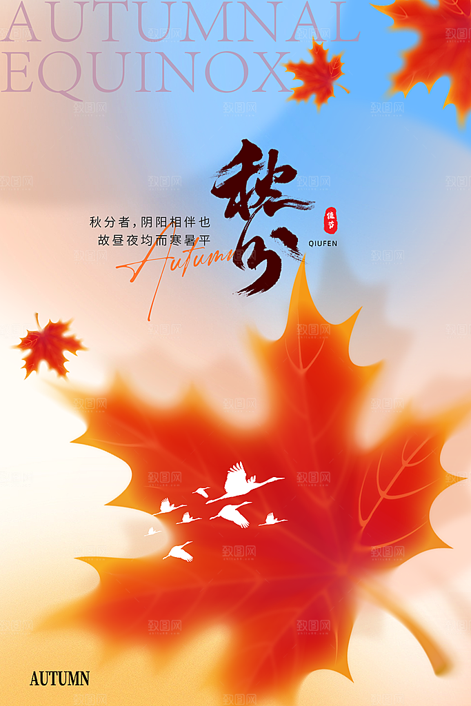 大气简约秋分节气海报