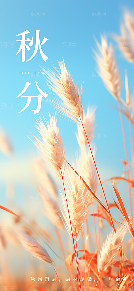 秋分节气秋景黄色写实AIGC广告宣传海报