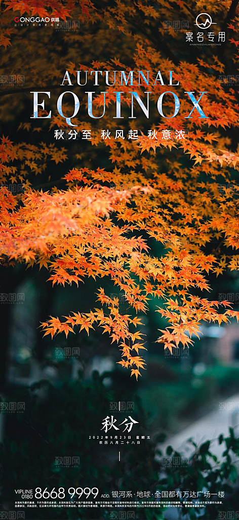 简约大气秋分节气海报