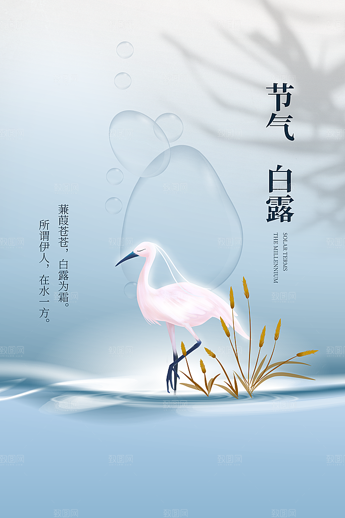 白露节气传统海报