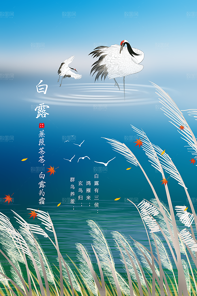 白露节气传统海报