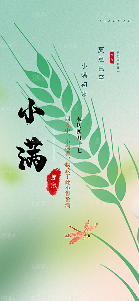 传统小满二十四节气海报