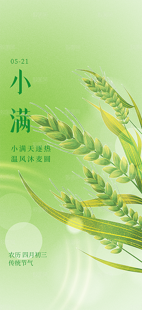 传统小满二十四节气海报