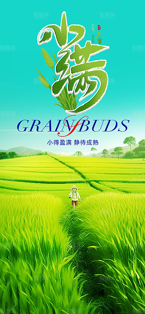 传统小满二十四节气海报