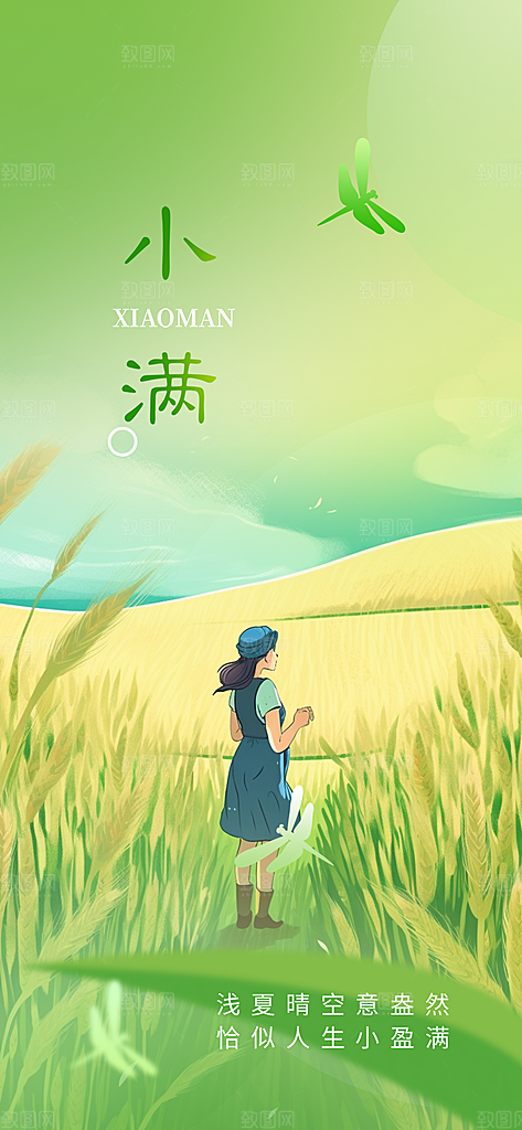 传统小满二十四节气海报